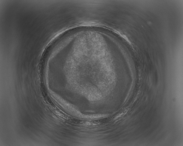 X0000082991311200702230049