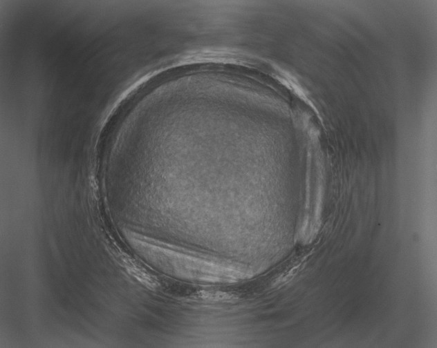 X0000082991312200702230049