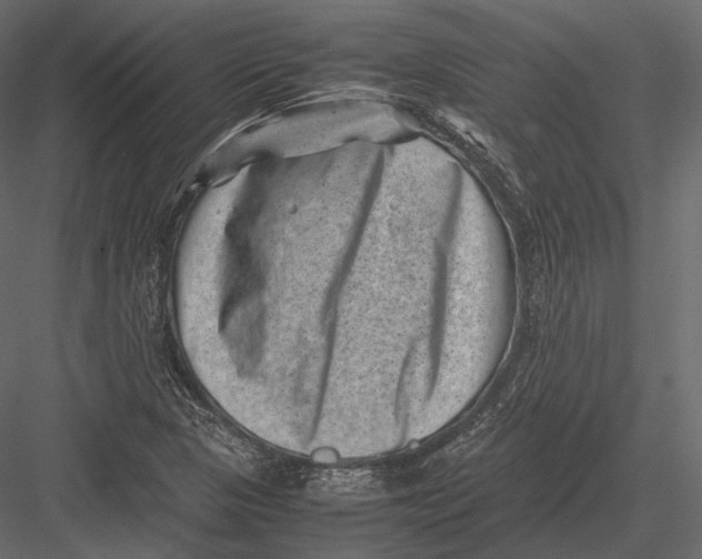 X0000082991313200702230049