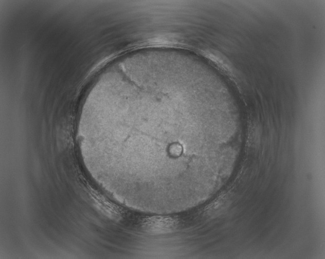 X0000082991314200702230049