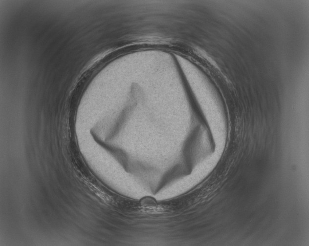 X0000082991315200702230049