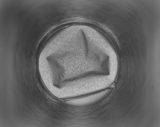 X0000082991318200702230049