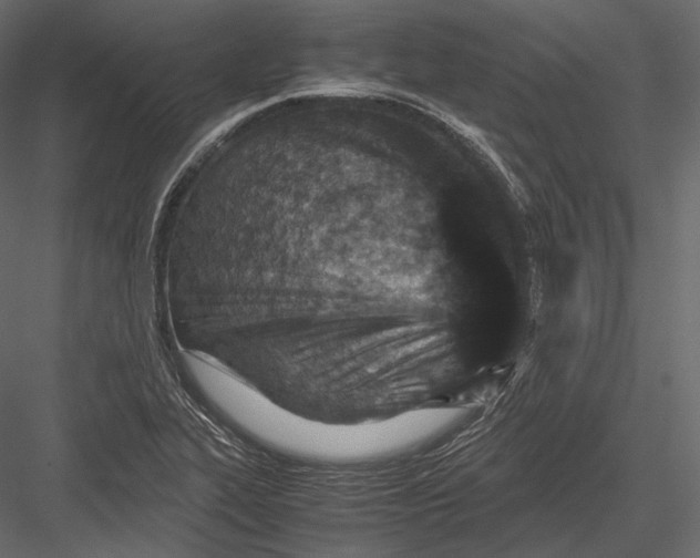 X0000082991319200702230049