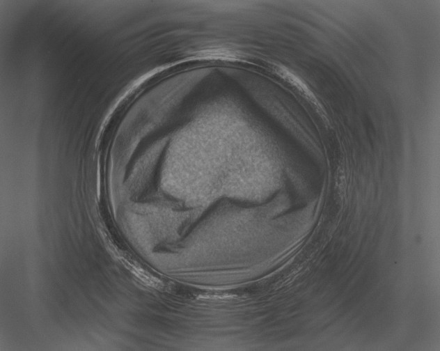 X0000082991323200702230049