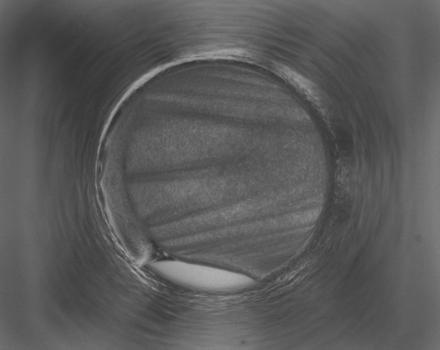 X0000082991324200702230050