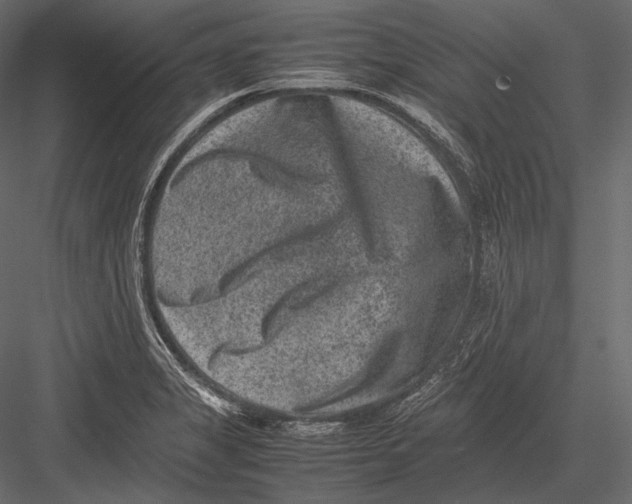 X0000082991325200702230050