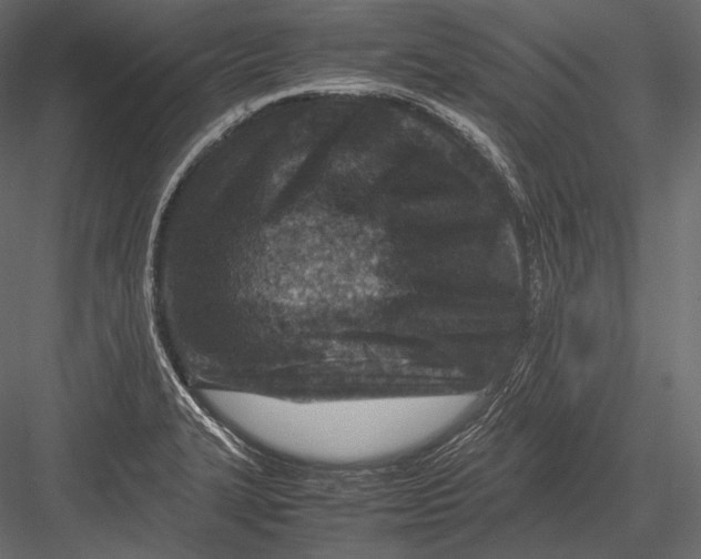 X0000082991327200702230050