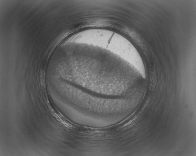 X0000082991329200702230050