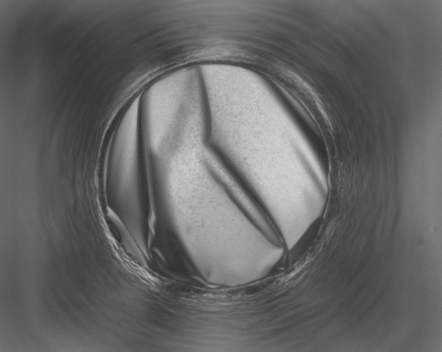 X0000082991330200702230050