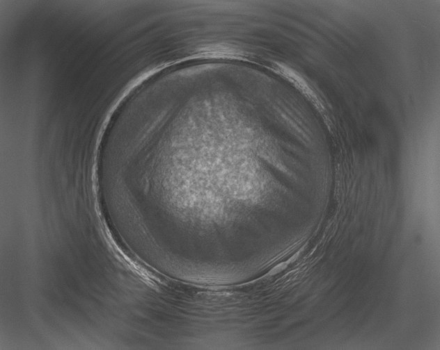 X0000082991331200702230050