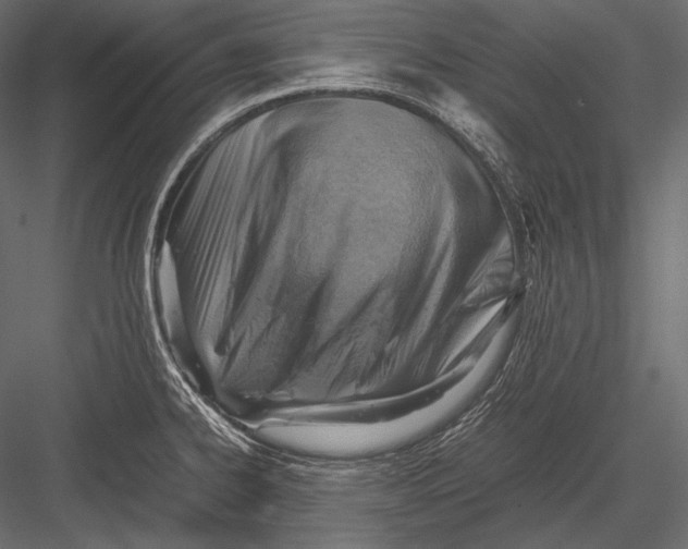 X0000082991334200702230050