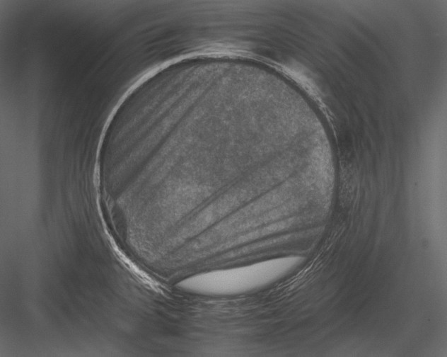 X0000082991335200702230050