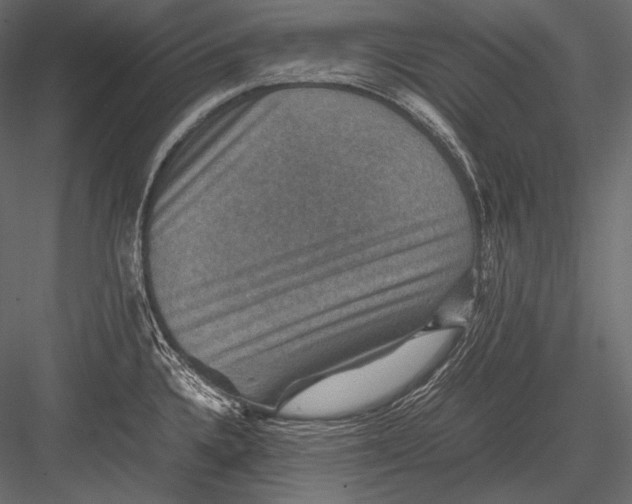 X0000082991336200702230050