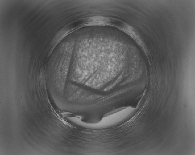 X0000082991337200702230050