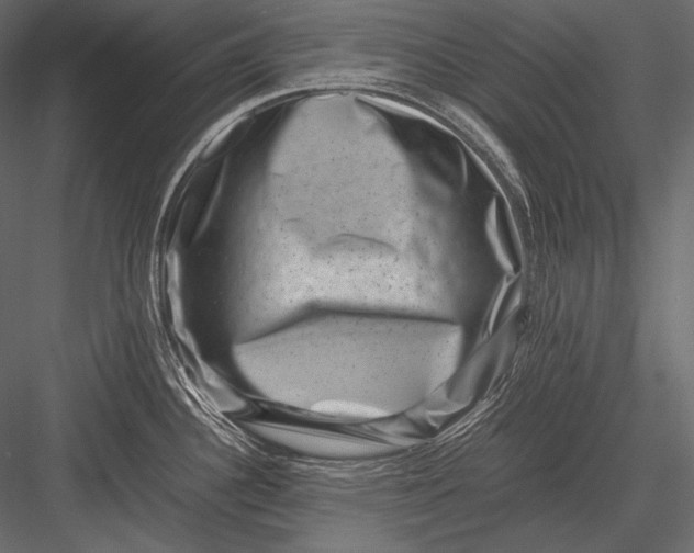 X0000082991340200702230050