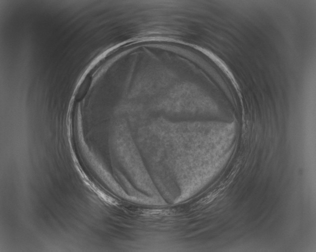 X0000082991341200702230050