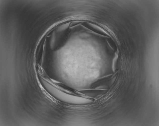 X0000082991342200702230050