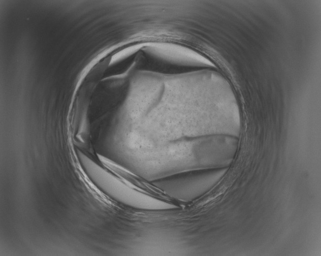 X0000082991344200702230050