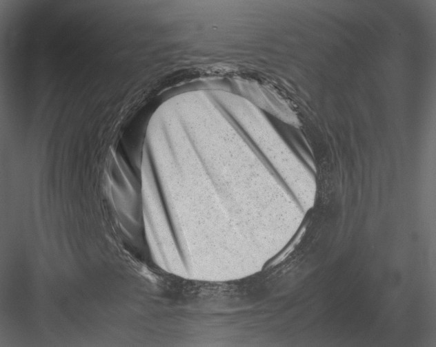 X0000082991345200702230049