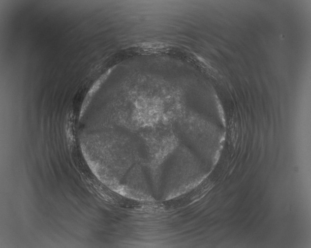 X0000082991346200702230049