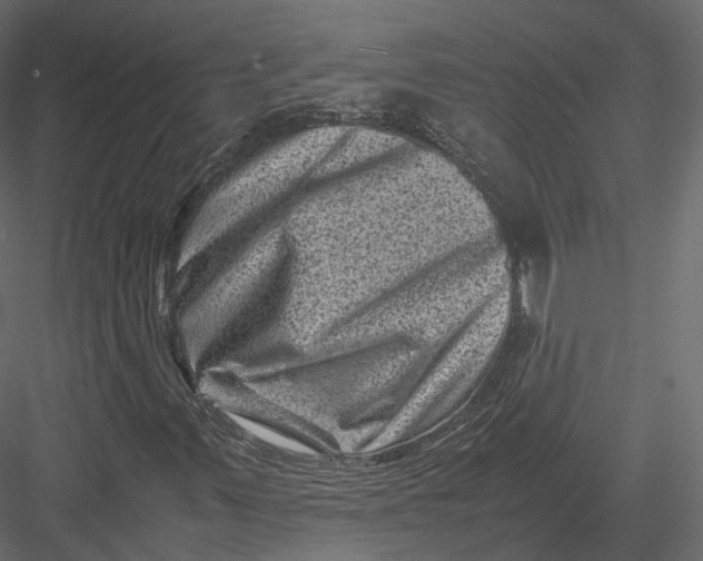 X0000082991347200702230049