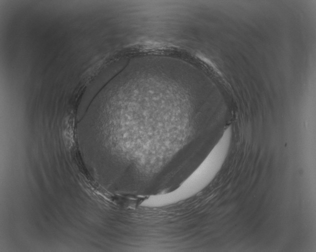 X0000082991348200702230049