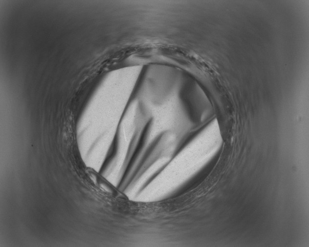 X0000082991349200702230049