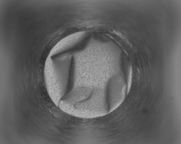 X0000082991350200702230049