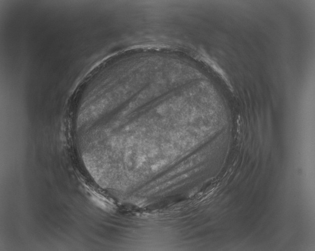 X0000082991352200702230049