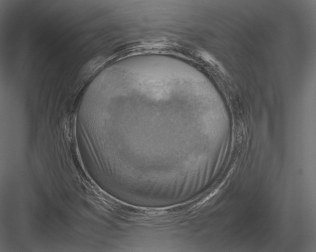 X0000082991353200702230049