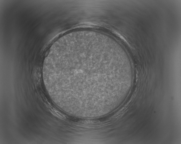 X0000082991355200702230049