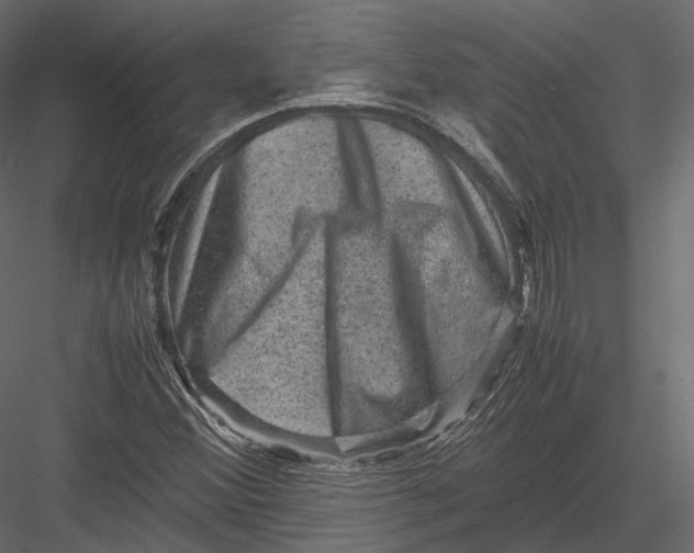 X0000082991356200702230049