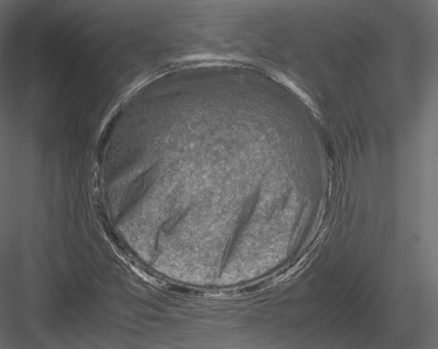 X0000082991357200702230049