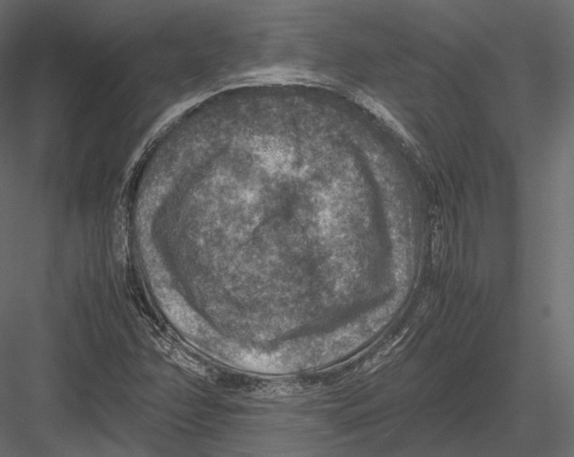 X0000082991358200702230049