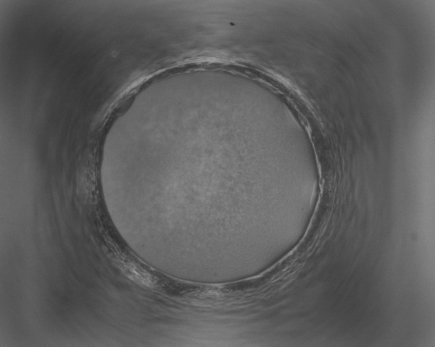 X0000082991359200702230049