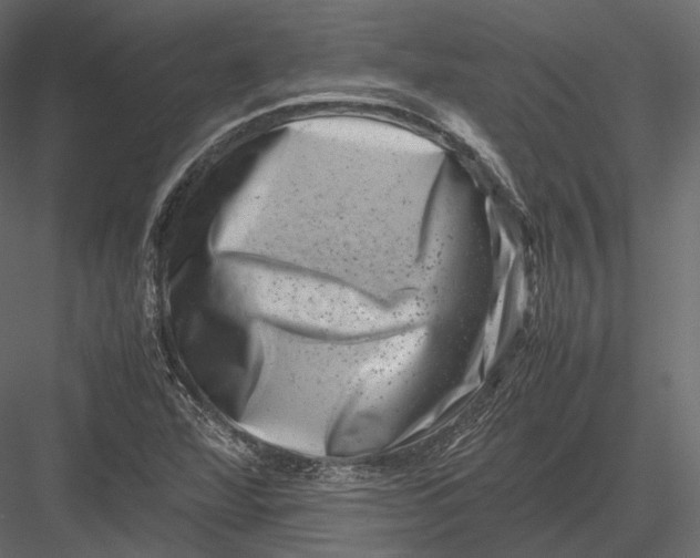 X0000082991360200702230049