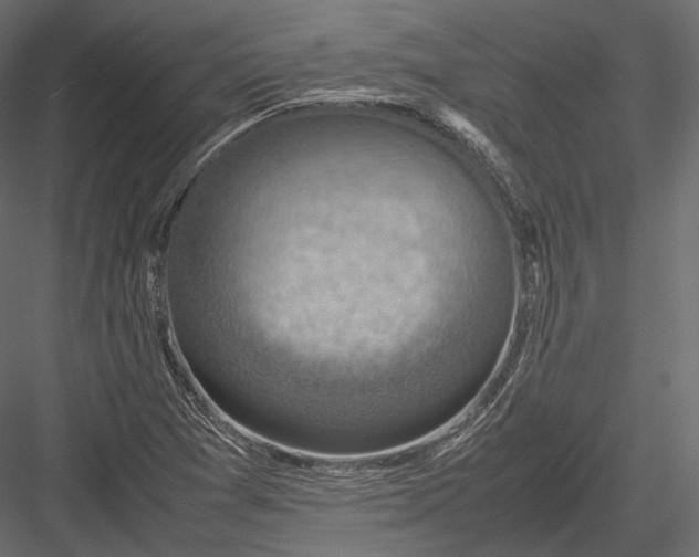 X0000082991361200702230049