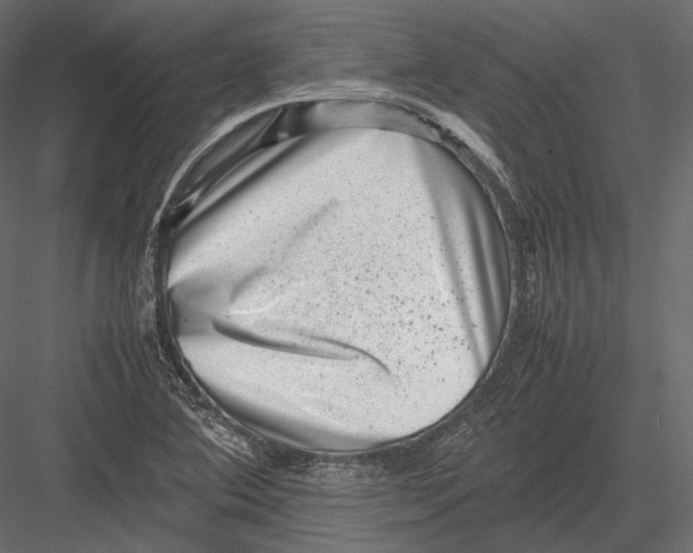 X0000082991364200702230049