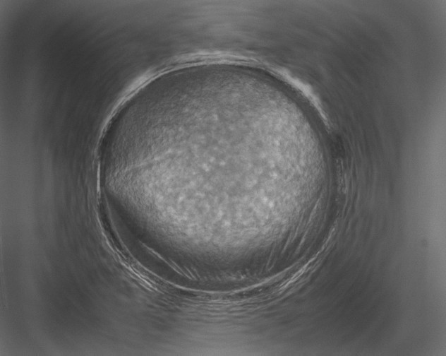 X0000082991365200702230049