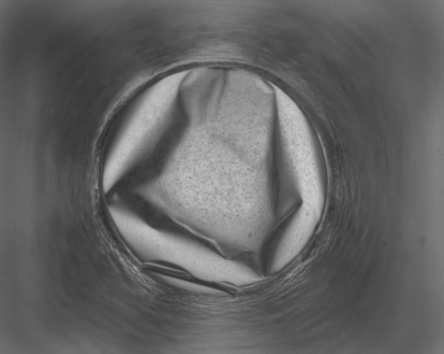 X0000082991366200702230049