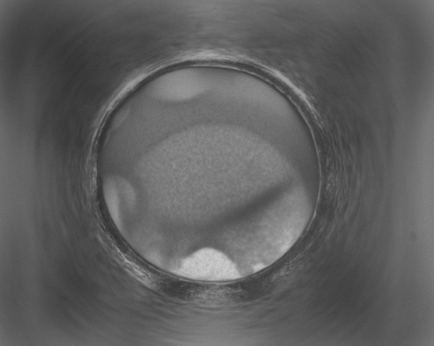 X0000082991367200702230049