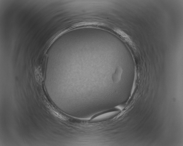 X0000082991369200702230049