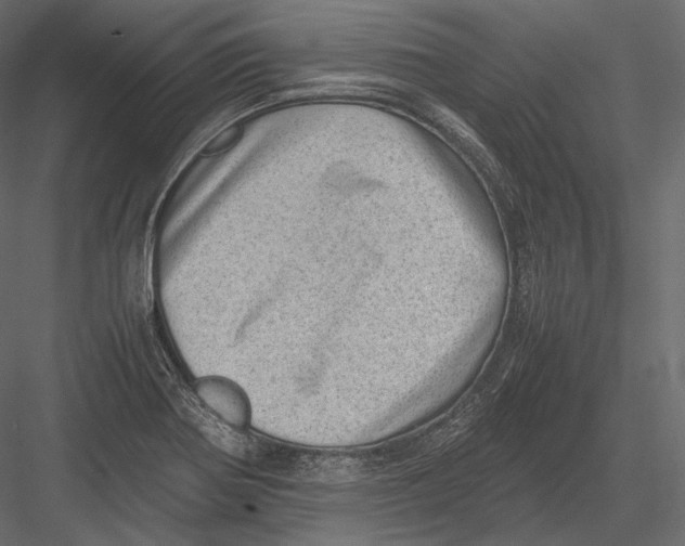 X0000082991370200702230049