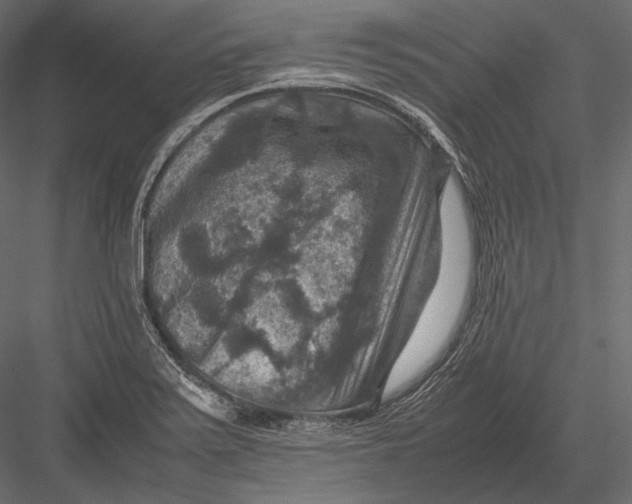 X0000082991371200702230049