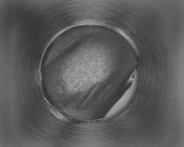 X0000082991372200702230049