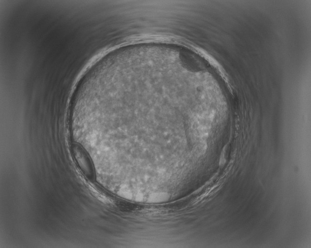 X0000082991373200702230049