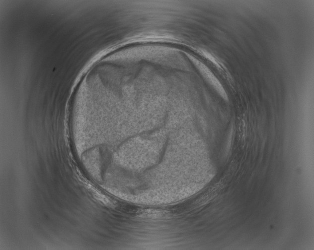 X0000082991374200702230049