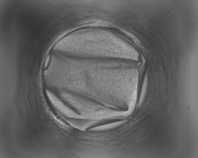 X0000082991375200702230049