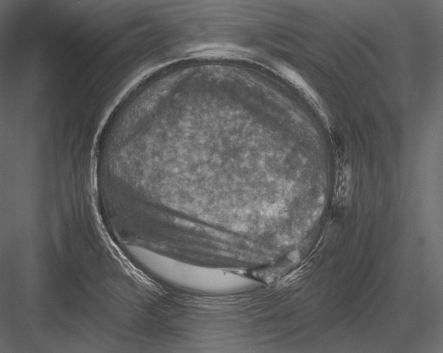 X0000082991376200702230049