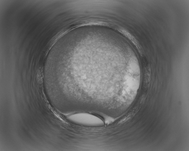 X0000082991377200702230048